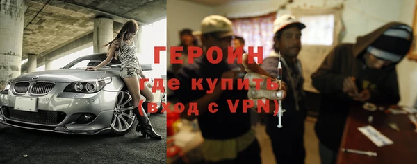 гидра Горняк