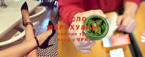 гидра Горняк