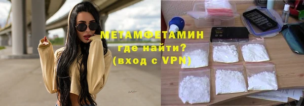 гидра Горняк