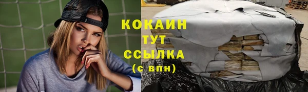 гидра Горняк