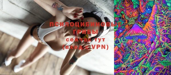 MDMA Горнозаводск