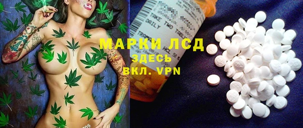 гашик Горно-Алтайск