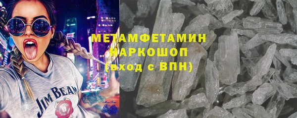 гидра Горняк