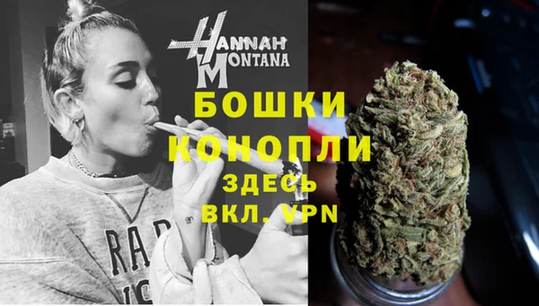 гидра Горняк