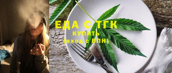 гидра Горняк